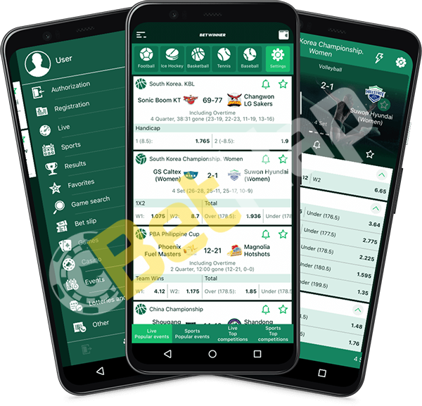 Exploring the Exciting World of Betwinner