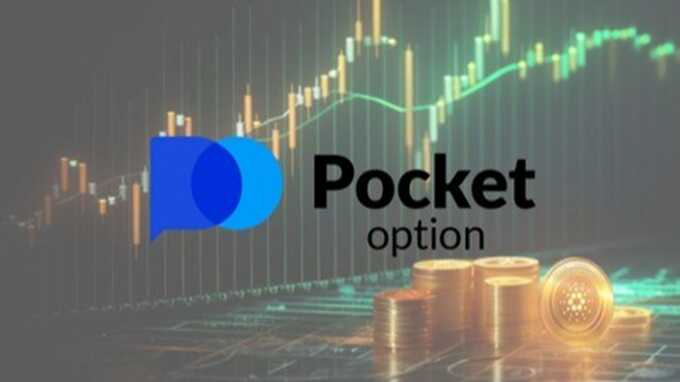 Pocket Option Customer Service Your Guide to Support and Assistance