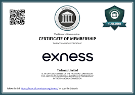 Understanding the Exness IB Program Benefits and Opportunities