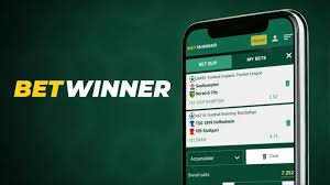 Explore the Exciting World of BetWinner Live Casino