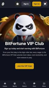 Explore the Exciting Welcome Bonus at Bitfortune Casino Canada